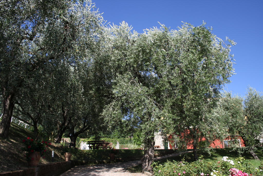 Hôtel Casaliva à Bardolino Extérieur photo